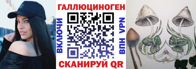 Галлюциногенные грибы Psilocybine cubensis  Андреаполь 